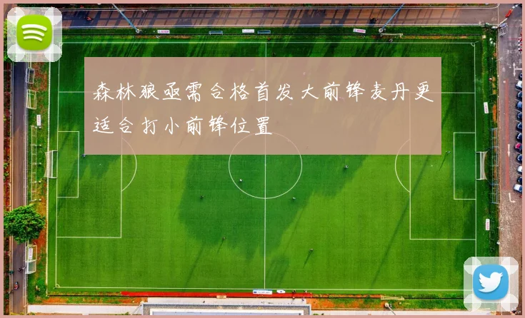 森林狼亟需合格首发大前锋麦丹更适合打小前锋位置
